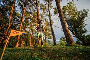 BIB: 801, 
                            <button type="button" onclick="openModal(22317846)" class="btn btn-primary btn-sm float-right btn-popup" data-toggle="modal" data-target=".modal-high-quality">
                        <i class="fas fa-shopping-cart"></i> Add to Cart
                    </button>
                                            <button type="button" onclick="isThisMe(22317846, true)" class="btn btn-success btn-sm float-right btn-popup btn-isme hidden" data-toggle="tooltip" data-placement="bottom" title="นี่คือรูปของคุณใช่ไหม คลิกที่นี่เพื่อเอาเข้าอัลบั้ม">
                        <i class="fas fa-plus"></i> Add to album
                    </button>
                    <button type="button" onclick="isThisMe(22317846, false)" class="btn btn-warning btn-sm float-right btn-popup btn-isnotme hidden">
                        <i class="fas fa-ban"></i> Remove from album
                    </button>