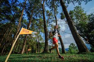 BIB: 
                            <button type="button" onclick="openModal(22316840)" class="btn btn-primary btn-sm float-right btn-popup" data-toggle="modal" data-target=".modal-high-quality">
                        <i class="fas fa-shopping-cart"></i> Add to Cart
                    </button>
                                            <button type="button" onclick="isThisMe(22316840, true)" class="btn btn-success btn-sm float-right btn-popup btn-isme hidden" data-toggle="tooltip" data-placement="bottom" title="นี่คือรูปของคุณใช่ไหม คลิกที่นี่เพื่อเอาเข้าอัลบั้ม">
                        <i class="fas fa-plus"></i> Add to album
                    </button>
                    <button type="button" onclick="isThisMe(22316840, false)" class="btn btn-warning btn-sm float-right btn-popup btn-isnotme hidden">
                        <i class="fas fa-ban"></i> Remove from album
                    </button>