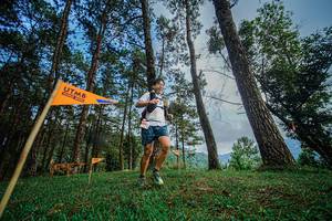 BIB: 
                            <button type="button" onclick="openModal(22316945)" class="btn btn-primary btn-sm float-right btn-popup" data-toggle="modal" data-target=".modal-high-quality">
                        <i class="fas fa-shopping-cart"></i> Add to Cart
                    </button>
                                            <button type="button" onclick="isThisMe(22316945, true)" class="btn btn-success btn-sm float-right btn-popup btn-isme hidden" data-toggle="tooltip" data-placement="bottom" title="นี่คือรูปของคุณใช่ไหม คลิกที่นี่เพื่อเอาเข้าอัลบั้ม">
                        <i class="fas fa-plus"></i> Add to album
                    </button>
                    <button type="button" onclick="isThisMe(22316945, false)" class="btn btn-warning btn-sm float-right btn-popup btn-isnotme hidden">
                        <i class="fas fa-ban"></i> Remove from album
                    </button>