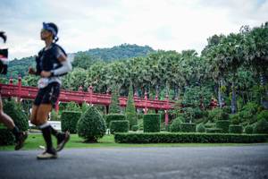 BIB: 
                            <button type="button" onclick="openModal(22404317)" class="btn btn-primary btn-sm float-right btn-popup" data-toggle="modal" data-target=".modal-high-quality">
                        <i class="fas fa-shopping-cart"></i> Add to Cart
                    </button>
                                            <button type="button" onclick="isThisMe(22404317, true)" class="btn btn-success btn-sm float-right btn-popup btn-isme hidden" data-toggle="tooltip" data-placement="bottom" title="นี่คือรูปของคุณใช่ไหม คลิกที่นี่เพื่อเอาเข้าอัลบั้ม">
                        <i class="fas fa-plus"></i> Add to album
                    </button>
                    <button type="button" onclick="isThisMe(22404317, false)" class="btn btn-warning btn-sm float-right btn-popup btn-isnotme hidden">
                        <i class="fas fa-ban"></i> Remove from album
                    </button>