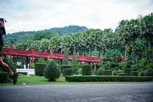 BIB: 
                            <button type="button" onclick="openModal(22404704)" class="btn btn-primary btn-sm float-right btn-popup" data-toggle="modal" data-target=".modal-high-quality">
                        <i class="fas fa-shopping-cart"></i> Add to Cart
                    </button>
                                            <button type="button" onclick="isThisMe(22404704, true)" class="btn btn-success btn-sm float-right btn-popup btn-isme hidden" data-toggle="tooltip" data-placement="bottom" title="นี่คือรูปของคุณใช่ไหม คลิกที่นี่เพื่อเอาเข้าอัลบั้ม">
                        <i class="fas fa-plus"></i> Add to album
                    </button>
                    <button type="button" onclick="isThisMe(22404704, false)" class="btn btn-warning btn-sm float-right btn-popup btn-isnotme hidden">
                        <i class="fas fa-ban"></i> Remove from album
                    </button>