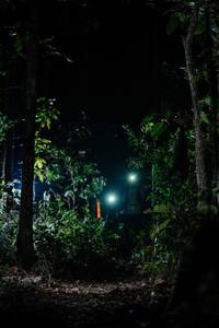 BIB: 
                            <button type="button" onclick="openModal(22439293)" class="btn btn-primary btn-sm float-right btn-popup" data-toggle="modal" data-target=".modal-high-quality">
                        <i class="fas fa-shopping-cart"></i> Add to Cart
                    </button>
                                            <button type="button" onclick="isThisMe(22439293, true)" class="btn btn-success btn-sm float-right btn-popup btn-isme hidden" data-toggle="tooltip" data-placement="bottom" title="นี่คือรูปของคุณใช่ไหม คลิกที่นี่เพื่อเอาเข้าอัลบั้ม">
                        <i class="fas fa-plus"></i> Add to album
                    </button>
                    <button type="button" onclick="isThisMe(22439293, false)" class="btn btn-warning btn-sm float-right btn-popup btn-isnotme hidden">
                        <i class="fas fa-ban"></i> Remove from album
                    </button>