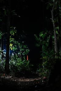 BIB: 
                            <button type="button" onclick="openModal(22438826)" class="btn btn-primary btn-sm float-right btn-popup" data-toggle="modal" data-target=".modal-high-quality">
                        <i class="fas fa-shopping-cart"></i> Add to Cart
                    </button>
                                            <button type="button" onclick="isThisMe(22438826, true)" class="btn btn-success btn-sm float-right btn-popup btn-isme hidden" data-toggle="tooltip" data-placement="bottom" title="นี่คือรูปของคุณใช่ไหม คลิกที่นี่เพื่อเอาเข้าอัลบั้ม">
                        <i class="fas fa-plus"></i> Add to album
                    </button>
                    <button type="button" onclick="isThisMe(22438826, false)" class="btn btn-warning btn-sm float-right btn-popup btn-isnotme hidden">
                        <i class="fas fa-ban"></i> Remove from album
                    </button>