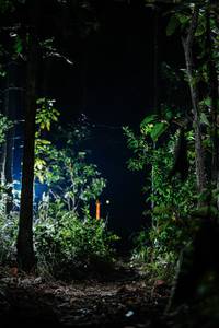 BIB: 
                            <button type="button" onclick="openModal(22438570)" class="btn btn-primary btn-sm float-right btn-popup" data-toggle="modal" data-target=".modal-high-quality">
                        <i class="fas fa-shopping-cart"></i> Add to Cart
                    </button>
                                            <button type="button" onclick="isThisMe(22438570, true)" class="btn btn-success btn-sm float-right btn-popup btn-isme hidden" data-toggle="tooltip" data-placement="bottom" title="นี่คือรูปของคุณใช่ไหม คลิกที่นี่เพื่อเอาเข้าอัลบั้ม">
                        <i class="fas fa-plus"></i> Add to album
                    </button>
                    <button type="button" onclick="isThisMe(22438570, false)" class="btn btn-warning btn-sm float-right btn-popup btn-isnotme hidden">
                        <i class="fas fa-ban"></i> Remove from album
                    </button>