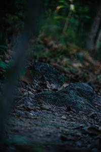 BIB: 
                            <button type="button" onclick="openModal(22441455)" class="btn btn-primary btn-sm float-right btn-popup" data-toggle="modal" data-target=".modal-high-quality">
                        <i class="fas fa-shopping-cart"></i> Add to Cart
                    </button>
                                            <button type="button" onclick="isThisMe(22441455, true)" class="btn btn-success btn-sm float-right btn-popup btn-isme hidden" data-toggle="tooltip" data-placement="bottom" title="นี่คือรูปของคุณใช่ไหม คลิกที่นี่เพื่อเอาเข้าอัลบั้ม">
                        <i class="fas fa-plus"></i> Add to album
                    </button>
                    <button type="button" onclick="isThisMe(22441455, false)" class="btn btn-warning btn-sm float-right btn-popup btn-isnotme hidden">
                        <i class="fas fa-ban"></i> Remove from album
                    </button>