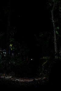 BIB: 
                            <button type="button" onclick="openModal(22438521)" class="btn btn-primary btn-sm float-right btn-popup" data-toggle="modal" data-target=".modal-high-quality">
                        <i class="fas fa-shopping-cart"></i> Add to Cart
                    </button>
                                            <button type="button" onclick="isThisMe(22438521, true)" class="btn btn-success btn-sm float-right btn-popup btn-isme hidden" data-toggle="tooltip" data-placement="bottom" title="นี่คือรูปของคุณใช่ไหม คลิกที่นี่เพื่อเอาเข้าอัลบั้ม">
                        <i class="fas fa-plus"></i> Add to album
                    </button>
                    <button type="button" onclick="isThisMe(22438521, false)" class="btn btn-warning btn-sm float-right btn-popup btn-isnotme hidden">
                        <i class="fas fa-ban"></i> Remove from album
                    </button>