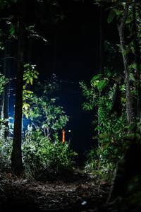 BIB: 
                            <button type="button" onclick="openModal(22438536)" class="btn btn-primary btn-sm float-right btn-popup" data-toggle="modal" data-target=".modal-high-quality">
                        <i class="fas fa-shopping-cart"></i> Add to Cart
                    </button>
                                            <button type="button" onclick="isThisMe(22438536, true)" class="btn btn-success btn-sm float-right btn-popup btn-isme hidden" data-toggle="tooltip" data-placement="bottom" title="นี่คือรูปของคุณใช่ไหม คลิกที่นี่เพื่อเอาเข้าอัลบั้ม">
                        <i class="fas fa-plus"></i> Add to album
                    </button>
                    <button type="button" onclick="isThisMe(22438536, false)" class="btn btn-warning btn-sm float-right btn-popup btn-isnotme hidden">
                        <i class="fas fa-ban"></i> Remove from album
                    </button>