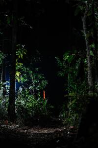 BIB: 
                            <button type="button" onclick="openModal(22438798)" class="btn btn-primary btn-sm float-right btn-popup" data-toggle="modal" data-target=".modal-high-quality">
                        <i class="fas fa-shopping-cart"></i> Add to Cart
                    </button>
                                            <button type="button" onclick="isThisMe(22438798, true)" class="btn btn-success btn-sm float-right btn-popup btn-isme hidden" data-toggle="tooltip" data-placement="bottom" title="นี่คือรูปของคุณใช่ไหม คลิกที่นี่เพื่อเอาเข้าอัลบั้ม">
                        <i class="fas fa-plus"></i> Add to album
                    </button>
                    <button type="button" onclick="isThisMe(22438798, false)" class="btn btn-warning btn-sm float-right btn-popup btn-isnotme hidden">
                        <i class="fas fa-ban"></i> Remove from album
                    </button>