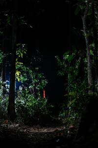 BIB: 
                            <button type="button" onclick="openModal(22438808)" class="btn btn-primary btn-sm float-right btn-popup" data-toggle="modal" data-target=".modal-high-quality">
                        <i class="fas fa-shopping-cart"></i> Add to Cart
                    </button>
                                            <button type="button" onclick="isThisMe(22438808, true)" class="btn btn-success btn-sm float-right btn-popup btn-isme hidden" data-toggle="tooltip" data-placement="bottom" title="นี่คือรูปของคุณใช่ไหม คลิกที่นี่เพื่อเอาเข้าอัลบั้ม">
                        <i class="fas fa-plus"></i> Add to album
                    </button>
                    <button type="button" onclick="isThisMe(22438808, false)" class="btn btn-warning btn-sm float-right btn-popup btn-isnotme hidden">
                        <i class="fas fa-ban"></i> Remove from album
                    </button>