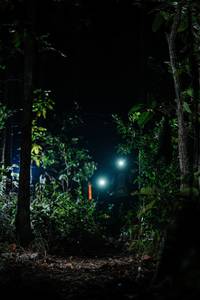 BIB: 
                            <button type="button" onclick="openModal(22439294)" class="btn btn-primary btn-sm float-right btn-popup" data-toggle="modal" data-target=".modal-high-quality">
                        <i class="fas fa-shopping-cart"></i> Add to Cart
                    </button>
                                            <button type="button" onclick="isThisMe(22439294, true)" class="btn btn-success btn-sm float-right btn-popup btn-isme hidden" data-toggle="tooltip" data-placement="bottom" title="นี่คือรูปของคุณใช่ไหม คลิกที่นี่เพื่อเอาเข้าอัลบั้ม">
                        <i class="fas fa-plus"></i> Add to album
                    </button>
                    <button type="button" onclick="isThisMe(22439294, false)" class="btn btn-warning btn-sm float-right btn-popup btn-isnotme hidden">
                        <i class="fas fa-ban"></i> Remove from album
                    </button>