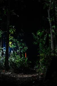 BIB: 
                            <button type="button" onclick="openModal(22438806)" class="btn btn-primary btn-sm float-right btn-popup" data-toggle="modal" data-target=".modal-high-quality">
                        <i class="fas fa-shopping-cart"></i> Add to Cart
                    </button>
                                            <button type="button" onclick="isThisMe(22438806, true)" class="btn btn-success btn-sm float-right btn-popup btn-isme hidden" data-toggle="tooltip" data-placement="bottom" title="นี่คือรูปของคุณใช่ไหม คลิกที่นี่เพื่อเอาเข้าอัลบั้ม">
                        <i class="fas fa-plus"></i> Add to album
                    </button>
                    <button type="button" onclick="isThisMe(22438806, false)" class="btn btn-warning btn-sm float-right btn-popup btn-isnotme hidden">
                        <i class="fas fa-ban"></i> Remove from album
                    </button>