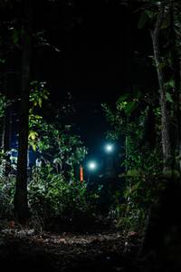 BIB: 
                            <button type="button" onclick="openModal(22439295)" class="btn btn-primary btn-sm float-right btn-popup" data-toggle="modal" data-target=".modal-high-quality">
                        <i class="fas fa-shopping-cart"></i> Add to Cart
                    </button>
                                            <button type="button" onclick="isThisMe(22439295, true)" class="btn btn-success btn-sm float-right btn-popup btn-isme hidden" data-toggle="tooltip" data-placement="bottom" title="นี่คือรูปของคุณใช่ไหม คลิกที่นี่เพื่อเอาเข้าอัลบั้ม">
                        <i class="fas fa-plus"></i> Add to album
                    </button>
                    <button type="button" onclick="isThisMe(22439295, false)" class="btn btn-warning btn-sm float-right btn-popup btn-isnotme hidden">
                        <i class="fas fa-ban"></i> Remove from album
                    </button>