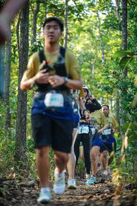 BIB: 
                            <button type="button" onclick="openModal(22443795)" class="btn btn-primary btn-sm float-right btn-popup" data-toggle="modal" data-target=".modal-high-quality">
                        <i class="fas fa-shopping-cart"></i> Add to Cart
                    </button>
                                            <button type="button" onclick="isThisMe(22443795, true)" class="btn btn-success btn-sm float-right btn-popup btn-isme hidden" data-toggle="tooltip" data-placement="bottom" title="นี่คือรูปของคุณใช่ไหม คลิกที่นี่เพื่อเอาเข้าอัลบั้ม">
                        <i class="fas fa-plus"></i> Add to album
                    </button>
                    <button type="button" onclick="isThisMe(22443795, false)" class="btn btn-warning btn-sm float-right btn-popup btn-isnotme hidden">
                        <i class="fas fa-ban"></i> Remove from album
                    </button>