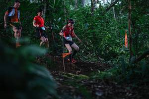 BIB: 
                            <button type="button" onclick="openModal(22597058)" class="btn btn-primary btn-sm float-right btn-popup" data-toggle="modal" data-target=".modal-high-quality">
                        <i class="fas fa-shopping-cart"></i> Add to Cart
                    </button>
                                            <button type="button" onclick="isThisMe(22597058, true)" class="btn btn-success btn-sm float-right btn-popup btn-isme hidden" data-toggle="tooltip" data-placement="bottom" title="นี่คือรูปของคุณใช่ไหม คลิกที่นี่เพื่อเอาเข้าอัลบั้ม">
                        <i class="fas fa-plus"></i> Add to album
                    </button>
                    <button type="button" onclick="isThisMe(22597058, false)" class="btn btn-warning btn-sm float-right btn-popup btn-isnotme hidden">
                        <i class="fas fa-ban"></i> Remove from album
                    </button>