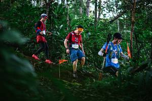 BIB: 
                            <button type="button" onclick="openModal(22595695)" class="btn btn-primary btn-sm float-right btn-popup" data-toggle="modal" data-target=".modal-high-quality">
                        <i class="fas fa-shopping-cart"></i> Add to Cart
                    </button>
                                            <button type="button" onclick="isThisMe(22595695, true)" class="btn btn-success btn-sm float-right btn-popup btn-isme hidden" data-toggle="tooltip" data-placement="bottom" title="นี่คือรูปของคุณใช่ไหม คลิกที่นี่เพื่อเอาเข้าอัลบั้ม">
                        <i class="fas fa-plus"></i> Add to album
                    </button>
                    <button type="button" onclick="isThisMe(22595695, false)" class="btn btn-warning btn-sm float-right btn-popup btn-isnotme hidden">
                        <i class="fas fa-ban"></i> Remove from album
                    </button>