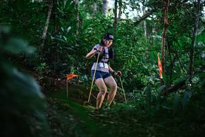 BIB: 
                            <button type="button" onclick="openModal(22595554)" class="btn btn-primary btn-sm float-right btn-popup" data-toggle="modal" data-target=".modal-high-quality">
                        <i class="fas fa-shopping-cart"></i> Add to Cart
                    </button>
                                            <button type="button" onclick="isThisMe(22595554, true)" class="btn btn-success btn-sm float-right btn-popup btn-isme hidden" data-toggle="tooltip" data-placement="bottom" title="นี่คือรูปของคุณใช่ไหม คลิกที่นี่เพื่อเอาเข้าอัลบั้ม">
                        <i class="fas fa-plus"></i> Add to album
                    </button>
                    <button type="button" onclick="isThisMe(22595554, false)" class="btn btn-warning btn-sm float-right btn-popup btn-isnotme hidden">
                        <i class="fas fa-ban"></i> Remove from album
                    </button>