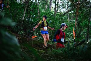 BIB: 221
                            <button type="button" onclick="openModal(22595737)" class="btn btn-primary btn-sm float-right btn-popup" data-toggle="modal" data-target=".modal-high-quality">
                        <i class="fas fa-shopping-cart"></i> Add to Cart
                    </button>
                                            <button type="button" onclick="isThisMe(22595737, true)" class="btn btn-success btn-sm float-right btn-popup btn-isme hidden" data-toggle="tooltip" data-placement="bottom" title="นี่คือรูปของคุณใช่ไหม คลิกที่นี่เพื่อเอาเข้าอัลบั้ม">
                        <i class="fas fa-plus"></i> Add to album
                    </button>
                    <button type="button" onclick="isThisMe(22595737, false)" class="btn btn-warning btn-sm float-right btn-popup btn-isnotme hidden">
                        <i class="fas fa-ban"></i> Remove from album
                    </button>