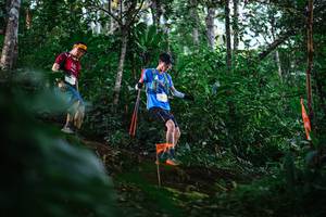 BIB: 
                            <button type="button" onclick="openModal(22595666)" class="btn btn-primary btn-sm float-right btn-popup" data-toggle="modal" data-target=".modal-high-quality">
                        <i class="fas fa-shopping-cart"></i> Add to Cart
                    </button>
                                            <button type="button" onclick="isThisMe(22595666, true)" class="btn btn-success btn-sm float-right btn-popup btn-isme hidden" data-toggle="tooltip" data-placement="bottom" title="นี่คือรูปของคุณใช่ไหม คลิกที่นี่เพื่อเอาเข้าอัลบั้ม">
                        <i class="fas fa-plus"></i> Add to album
                    </button>
                    <button type="button" onclick="isThisMe(22595666, false)" class="btn btn-warning btn-sm float-right btn-popup btn-isnotme hidden">
                        <i class="fas fa-ban"></i> Remove from album
                    </button>