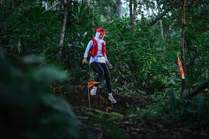 BIB: 
                            <button type="button" onclick="openModal(22597423)" class="btn btn-primary btn-sm float-right btn-popup" data-toggle="modal" data-target=".modal-high-quality">
                        <i class="fas fa-shopping-cart"></i> Add to Cart
                    </button>
                                            <button type="button" onclick="isThisMe(22597423, true)" class="btn btn-success btn-sm float-right btn-popup btn-isme hidden" data-toggle="tooltip" data-placement="bottom" title="นี่คือรูปของคุณใช่ไหม คลิกที่นี่เพื่อเอาเข้าอัลบั้ม">
                        <i class="fas fa-plus"></i> Add to album
                    </button>
                    <button type="button" onclick="isThisMe(22597423, false)" class="btn btn-warning btn-sm float-right btn-popup btn-isnotme hidden">
                        <i class="fas fa-ban"></i> Remove from album
                    </button>