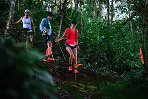 BIB: 
                            <button type="button" onclick="openModal(22616663)" class="btn btn-primary btn-sm float-right btn-popup" data-toggle="modal" data-target=".modal-high-quality">
                        <i class="fas fa-shopping-cart"></i> Add to Cart
                    </button>
                                            <button type="button" onclick="isThisMe(22616663, true)" class="btn btn-success btn-sm float-right btn-popup btn-isme hidden" data-toggle="tooltip" data-placement="bottom" title="นี่คือรูปของคุณใช่ไหม คลิกที่นี่เพื่อเอาเข้าอัลบั้ม">
                        <i class="fas fa-plus"></i> Add to album
                    </button>
                    <button type="button" onclick="isThisMe(22616663, false)" class="btn btn-warning btn-sm float-right btn-popup btn-isnotme hidden">
                        <i class="fas fa-ban"></i> Remove from album
                    </button>