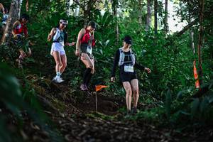 BIB: 3527
                            <button type="button" onclick="openModal(22617127)" class="btn btn-primary btn-sm float-right btn-popup" data-toggle="modal" data-target=".modal-high-quality">
                        <i class="fas fa-shopping-cart"></i> Add to Cart
                    </button>
                                            <button type="button" onclick="isThisMe(22617127, true)" class="btn btn-success btn-sm float-right btn-popup btn-isme hidden" data-toggle="tooltip" data-placement="bottom" title="นี่คือรูปของคุณใช่ไหม คลิกที่นี่เพื่อเอาเข้าอัลบั้ม">
                        <i class="fas fa-plus"></i> Add to album
                    </button>
                    <button type="button" onclick="isThisMe(22617127, false)" class="btn btn-warning btn-sm float-right btn-popup btn-isnotme hidden">
                        <i class="fas fa-ban"></i> Remove from album
                    </button>