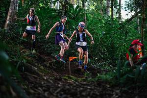 BIB: 
                            <button type="button" onclick="openModal(22617374)" class="btn btn-primary btn-sm float-right btn-popup" data-toggle="modal" data-target=".modal-high-quality">
                        <i class="fas fa-shopping-cart"></i> Add to Cart
                    </button>
                                            <button type="button" onclick="isThisMe(22617374, true)" class="btn btn-success btn-sm float-right btn-popup btn-isme hidden" data-toggle="tooltip" data-placement="bottom" title="นี่คือรูปของคุณใช่ไหม คลิกที่นี่เพื่อเอาเข้าอัลบั้ม">
                        <i class="fas fa-plus"></i> Add to album
                    </button>
                    <button type="button" onclick="isThisMe(22617374, false)" class="btn btn-warning btn-sm float-right btn-popup btn-isnotme hidden">
                        <i class="fas fa-ban"></i> Remove from album
                    </button>