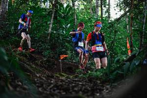 BIB: 2244
                            <button type="button" onclick="openModal(22617927)" class="btn btn-primary btn-sm float-right btn-popup" data-toggle="modal" data-target=".modal-high-quality">
                        <i class="fas fa-shopping-cart"></i> Add to Cart
                    </button>
                                            <button type="button" onclick="isThisMe(22617927, true)" class="btn btn-success btn-sm float-right btn-popup btn-isme hidden" data-toggle="tooltip" data-placement="bottom" title="นี่คือรูปของคุณใช่ไหม คลิกที่นี่เพื่อเอาเข้าอัลบั้ม">
                        <i class="fas fa-plus"></i> Add to album
                    </button>
                    <button type="button" onclick="isThisMe(22617927, false)" class="btn btn-warning btn-sm float-right btn-popup btn-isnotme hidden">
                        <i class="fas fa-ban"></i> Remove from album
                    </button>