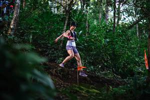 BIB: 
                            <button type="button" onclick="openModal(22616514)" class="btn btn-primary btn-sm float-right btn-popup" data-toggle="modal" data-target=".modal-high-quality">
                        <i class="fas fa-shopping-cart"></i> Add to Cart
                    </button>
                                            <button type="button" onclick="isThisMe(22616514, true)" class="btn btn-success btn-sm float-right btn-popup btn-isme hidden" data-toggle="tooltip" data-placement="bottom" title="นี่คือรูปของคุณใช่ไหม คลิกที่นี่เพื่อเอาเข้าอัลบั้ม">
                        <i class="fas fa-plus"></i> Add to album
                    </button>
                    <button type="button" onclick="isThisMe(22616514, false)" class="btn btn-warning btn-sm float-right btn-popup btn-isnotme hidden">
                        <i class="fas fa-ban"></i> Remove from album
                    </button>