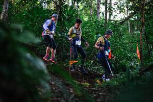 BIB: 
                            <button type="button" onclick="openModal(22618081)" class="btn btn-primary btn-sm float-right btn-popup" data-toggle="modal" data-target=".modal-high-quality">
                        <i class="fas fa-shopping-cart"></i> Add to Cart
                    </button>
                                            <button type="button" onclick="isThisMe(22618081, true)" class="btn btn-success btn-sm float-right btn-popup btn-isme hidden" data-toggle="tooltip" data-placement="bottom" title="นี่คือรูปของคุณใช่ไหม คลิกที่นี่เพื่อเอาเข้าอัลบั้ม">
                        <i class="fas fa-plus"></i> Add to album
                    </button>
                    <button type="button" onclick="isThisMe(22618081, false)" class="btn btn-warning btn-sm float-right btn-popup btn-isnotme hidden">
                        <i class="fas fa-ban"></i> Remove from album
                    </button>