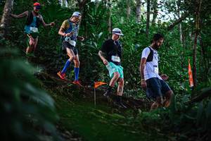 BIB: 512, 2900
                            <button type="button" onclick="openModal(22616559)" class="btn btn-primary btn-sm float-right btn-popup" data-toggle="modal" data-target=".modal-high-quality">
                        <i class="fas fa-shopping-cart"></i> Add to Cart
                    </button>
                                            <button type="button" onclick="isThisMe(22616559, true)" class="btn btn-success btn-sm float-right btn-popup btn-isme hidden" data-toggle="tooltip" data-placement="bottom" title="นี่คือรูปของคุณใช่ไหม คลิกที่นี่เพื่อเอาเข้าอัลบั้ม">
                        <i class="fas fa-plus"></i> Add to album
                    </button>
                    <button type="button" onclick="isThisMe(22616559, false)" class="btn btn-warning btn-sm float-right btn-popup btn-isnotme hidden">
                        <i class="fas fa-ban"></i> Remove from album
                    </button>