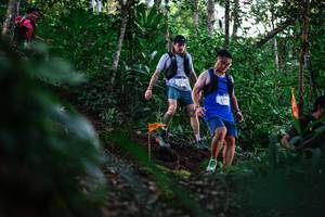 BIB: 2833
                            <button type="button" onclick="openModal(22618152)" class="btn btn-primary btn-sm float-right btn-popup" data-toggle="modal" data-target=".modal-high-quality">
                        <i class="fas fa-shopping-cart"></i> Add to Cart
                    </button>
                                            <button type="button" onclick="isThisMe(22618152, true)" class="btn btn-success btn-sm float-right btn-popup btn-isme hidden" data-toggle="tooltip" data-placement="bottom" title="นี่คือรูปของคุณใช่ไหม คลิกที่นี่เพื่อเอาเข้าอัลบั้ม">
                        <i class="fas fa-plus"></i> Add to album
                    </button>
                    <button type="button" onclick="isThisMe(22618152, false)" class="btn btn-warning btn-sm float-right btn-popup btn-isnotme hidden">
                        <i class="fas fa-ban"></i> Remove from album
                    </button>