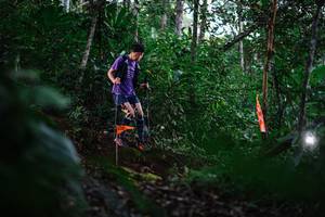 BIB: 
                            <button type="button" onclick="openModal(22615408)" class="btn btn-primary btn-sm float-right btn-popup" data-toggle="modal" data-target=".modal-high-quality">
                        <i class="fas fa-shopping-cart"></i> Add to Cart
                    </button>
                                            <button type="button" onclick="isThisMe(22615408, true)" class="btn btn-success btn-sm float-right btn-popup btn-isme hidden" data-toggle="tooltip" data-placement="bottom" title="นี่คือรูปของคุณใช่ไหม คลิกที่นี่เพื่อเอาเข้าอัลบั้ม">
                        <i class="fas fa-plus"></i> Add to album
                    </button>
                    <button type="button" onclick="isThisMe(22615408, false)" class="btn btn-warning btn-sm float-right btn-popup btn-isnotme hidden">
                        <i class="fas fa-ban"></i> Remove from album
                    </button>