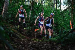 BIB: 
                            <button type="button" onclick="openModal(22617389)" class="btn btn-primary btn-sm float-right btn-popup" data-toggle="modal" data-target=".modal-high-quality">
                        <i class="fas fa-shopping-cart"></i> Add to Cart
                    </button>
                                            <button type="button" onclick="isThisMe(22617389, true)" class="btn btn-success btn-sm float-right btn-popup btn-isme hidden" data-toggle="tooltip" data-placement="bottom" title="นี่คือรูปของคุณใช่ไหม คลิกที่นี่เพื่อเอาเข้าอัลบั้ม">
                        <i class="fas fa-plus"></i> Add to album
                    </button>
                    <button type="button" onclick="isThisMe(22617389, false)" class="btn btn-warning btn-sm float-right btn-popup btn-isnotme hidden">
                        <i class="fas fa-ban"></i> Remove from album
                    </button>