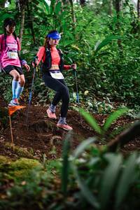 BIB: 299
                            <button type="button" onclick="openModal(22624844)" class="btn btn-primary btn-sm float-right btn-popup" data-toggle="modal" data-target=".modal-high-quality">
                        <i class="fas fa-shopping-cart"></i> Add to Cart
                    </button>
                                            <button type="button" onclick="isThisMe(22624844, true)" class="btn btn-success btn-sm float-right btn-popup btn-isme hidden" data-toggle="tooltip" data-placement="bottom" title="นี่คือรูปของคุณใช่ไหม คลิกที่นี่เพื่อเอาเข้าอัลบั้ม">
                        <i class="fas fa-plus"></i> Add to album
                    </button>
                    <button type="button" onclick="isThisMe(22624844, false)" class="btn btn-warning btn-sm float-right btn-popup btn-isnotme hidden">
                        <i class="fas fa-ban"></i> Remove from album
                    </button>