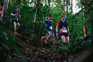 BIB: 2244
                            <button type="button" onclick="openModal(22617924)" class="btn btn-primary btn-sm float-right btn-popup" data-toggle="modal" data-target=".modal-high-quality">
                        <i class="fas fa-shopping-cart"></i> Add to Cart
                    </button>
                                            <button type="button" onclick="isThisMe(22617924, true)" class="btn btn-success btn-sm float-right btn-popup btn-isme hidden" data-toggle="tooltip" data-placement="bottom" title="นี่คือรูปของคุณใช่ไหม คลิกที่นี่เพื่อเอาเข้าอัลบั้ม">
                        <i class="fas fa-plus"></i> Add to album
                    </button>
                    <button type="button" onclick="isThisMe(22617924, false)" class="btn btn-warning btn-sm float-right btn-popup btn-isnotme hidden">
                        <i class="fas fa-ban"></i> Remove from album
                    </button>