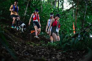 BIB: 
                            <button type="button" onclick="openModal(22617150)" class="btn btn-primary btn-sm float-right btn-popup" data-toggle="modal" data-target=".modal-high-quality">
                        <i class="fas fa-shopping-cart"></i> Add to Cart
                    </button>
                                            <button type="button" onclick="isThisMe(22617150, true)" class="btn btn-success btn-sm float-right btn-popup btn-isme hidden" data-toggle="tooltip" data-placement="bottom" title="นี่คือรูปของคุณใช่ไหม คลิกที่นี่เพื่อเอาเข้าอัลบั้ม">
                        <i class="fas fa-plus"></i> Add to album
                    </button>
                    <button type="button" onclick="isThisMe(22617150, false)" class="btn btn-warning btn-sm float-right btn-popup btn-isnotme hidden">
                        <i class="fas fa-ban"></i> Remove from album
                    </button>