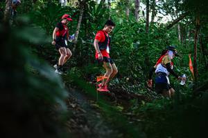 BIB: 
                            <button type="button" onclick="openModal(22617350)" class="btn btn-primary btn-sm float-right btn-popup" data-toggle="modal" data-target=".modal-high-quality">
                        <i class="fas fa-shopping-cart"></i> Add to Cart
                    </button>
                                            <button type="button" onclick="isThisMe(22617350, true)" class="btn btn-success btn-sm float-right btn-popup btn-isme hidden" data-toggle="tooltip" data-placement="bottom" title="นี่คือรูปของคุณใช่ไหม คลิกที่นี่เพื่อเอาเข้าอัลบั้ม">
                        <i class="fas fa-plus"></i> Add to album
                    </button>
                    <button type="button" onclick="isThisMe(22617350, false)" class="btn btn-warning btn-sm float-right btn-popup btn-isnotme hidden">
                        <i class="fas fa-ban"></i> Remove from album
                    </button>