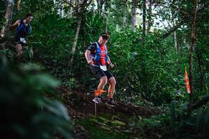 BIB: 
                            <button type="button" onclick="openModal(22612532)" class="btn btn-primary btn-sm float-right btn-popup" data-toggle="modal" data-target=".modal-high-quality">
                        <i class="fas fa-shopping-cart"></i> Add to Cart
                    </button>
                                            <button type="button" onclick="isThisMe(22612532, true)" class="btn btn-success btn-sm float-right btn-popup btn-isme hidden" data-toggle="tooltip" data-placement="bottom" title="นี่คือรูปของคุณใช่ไหม คลิกที่นี่เพื่อเอาเข้าอัลบั้ม">
                        <i class="fas fa-plus"></i> Add to album
                    </button>
                    <button type="button" onclick="isThisMe(22612532, false)" class="btn btn-warning btn-sm float-right btn-popup btn-isnotme hidden">
                        <i class="fas fa-ban"></i> Remove from album
                    </button>