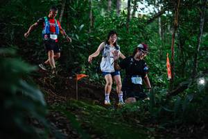 BIB: 2329, 
                            <button type="button" onclick="openModal(22614405)" class="btn btn-primary btn-sm float-right btn-popup" data-toggle="modal" data-target=".modal-high-quality">
                        <i class="fas fa-shopping-cart"></i> Add to Cart
                    </button>
                                            <button type="button" onclick="isThisMe(22614405, true)" class="btn btn-success btn-sm float-right btn-popup btn-isme hidden" data-toggle="tooltip" data-placement="bottom" title="นี่คือรูปของคุณใช่ไหม คลิกที่นี่เพื่อเอาเข้าอัลบั้ม">
                        <i class="fas fa-plus"></i> Add to album
                    </button>
                    <button type="button" onclick="isThisMe(22614405, false)" class="btn btn-warning btn-sm float-right btn-popup btn-isnotme hidden">
                        <i class="fas fa-ban"></i> Remove from album
                    </button>