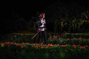 BIB: 
                            <button type="button" onclick="openModal(22672444)" class="btn btn-primary btn-sm float-right btn-popup" data-toggle="modal" data-target=".modal-high-quality">
                        <i class="fas fa-shopping-cart"></i> Add to Cart
                    </button>
                                            <button type="button" onclick="isThisMe(22672444, true)" class="btn btn-success btn-sm float-right btn-popup btn-isme hidden" data-toggle="tooltip" data-placement="bottom" title="นี่คือรูปของคุณใช่ไหม คลิกที่นี่เพื่อเอาเข้าอัลบั้ม">
                        <i class="fas fa-plus"></i> Add to album
                    </button>
                    <button type="button" onclick="isThisMe(22672444, false)" class="btn btn-warning btn-sm float-right btn-popup btn-isnotme hidden">
                        <i class="fas fa-ban"></i> Remove from album
                    </button>