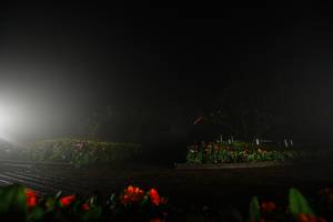 BIB: 
                            <button type="button" onclick="openModal(22667705)" class="btn btn-primary btn-sm float-right btn-popup" data-toggle="modal" data-target=".modal-high-quality">
                        <i class="fas fa-shopping-cart"></i> Add to Cart
                    </button>
                                            <button type="button" onclick="isThisMe(22667705, true)" class="btn btn-success btn-sm float-right btn-popup btn-isme hidden" data-toggle="tooltip" data-placement="bottom" title="นี่คือรูปของคุณใช่ไหม คลิกที่นี่เพื่อเอาเข้าอัลบั้ม">
                        <i class="fas fa-plus"></i> Add to album
                    </button>
                    <button type="button" onclick="isThisMe(22667705, false)" class="btn btn-warning btn-sm float-right btn-popup btn-isnotme hidden">
                        <i class="fas fa-ban"></i> Remove from album
                    </button>