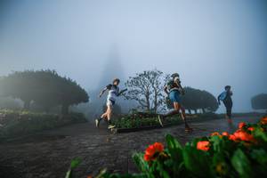 BIB: 
                            <button type="button" onclick="openModal(22667596)" class="btn btn-primary btn-sm float-right btn-popup" data-toggle="modal" data-target=".modal-high-quality">
                        <i class="fas fa-shopping-cart"></i> Add to Cart
                    </button>
                                            <button type="button" onclick="isThisMe(22667596, true)" class="btn btn-success btn-sm float-right btn-popup btn-isme hidden" data-toggle="tooltip" data-placement="bottom" title="นี่คือรูปของคุณใช่ไหม คลิกที่นี่เพื่อเอาเข้าอัลบั้ม">
                        <i class="fas fa-plus"></i> Add to album
                    </button>
                    <button type="button" onclick="isThisMe(22667596, false)" class="btn btn-warning btn-sm float-right btn-popup btn-isnotme hidden">
                        <i class="fas fa-ban"></i> Remove from album
                    </button>