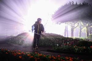 BIB: 
                            <button type="button" onclick="openModal(22680278)" class="btn btn-primary btn-sm float-right btn-popup" data-toggle="modal" data-target=".modal-high-quality">
                        <i class="fas fa-shopping-cart"></i> Add to Cart
                    </button>
                                            <button type="button" onclick="isThisMe(22680278, true)" class="btn btn-success btn-sm float-right btn-popup btn-isme hidden" data-toggle="tooltip" data-placement="bottom" title="นี่คือรูปของคุณใช่ไหม คลิกที่นี่เพื่อเอาเข้าอัลบั้ม">
                        <i class="fas fa-plus"></i> Add to album
                    </button>
                    <button type="button" onclick="isThisMe(22680278, false)" class="btn btn-warning btn-sm float-right btn-popup btn-isnotme hidden">
                        <i class="fas fa-ban"></i> Remove from album
                    </button>