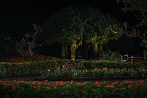 BIB: 
                            <button type="button" onclick="openModal(22668449)" class="btn btn-primary btn-sm float-right btn-popup" data-toggle="modal" data-target=".modal-high-quality">
                        <i class="fas fa-shopping-cart"></i> Add to Cart
                    </button>
                                            <button type="button" onclick="isThisMe(22668449, true)" class="btn btn-success btn-sm float-right btn-popup btn-isme hidden" data-toggle="tooltip" data-placement="bottom" title="นี่คือรูปของคุณใช่ไหม คลิกที่นี่เพื่อเอาเข้าอัลบั้ม">
                        <i class="fas fa-plus"></i> Add to album
                    </button>
                    <button type="button" onclick="isThisMe(22668449, false)" class="btn btn-warning btn-sm float-right btn-popup btn-isnotme hidden">
                        <i class="fas fa-ban"></i> Remove from album
                    </button>