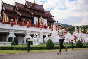 BIB: 1581
                            <button type="button" onclick="openModal(22588675)" class="btn btn-primary btn-sm float-right btn-popup" data-toggle="modal" data-target=".modal-high-quality">
                        <i class="fas fa-shopping-cart"></i> Add to Cart
                    </button>
                                            <button type="button" onclick="isThisMe(22588675, true)" class="btn btn-success btn-sm float-right btn-popup btn-isme hidden" data-toggle="tooltip" data-placement="bottom" title="นี่คือรูปของคุณใช่ไหม คลิกที่นี่เพื่อเอาเข้าอัลบั้ม">
                        <i class="fas fa-plus"></i> Add to album
                    </button>
                    <button type="button" onclick="isThisMe(22588675, false)" class="btn btn-warning btn-sm float-right btn-popup btn-isnotme hidden">
                        <i class="fas fa-ban"></i> Remove from album
                    </button>