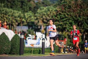 BIB: 
                            <button type="button" onclick="openModal(22679500)" class="btn btn-primary btn-sm float-right btn-popup" data-toggle="modal" data-target=".modal-high-quality">
                        <i class="fas fa-shopping-cart"></i> Add to Cart
                    </button>
                                            <button type="button" onclick="isThisMe(22679500, true)" class="btn btn-success btn-sm float-right btn-popup btn-isme hidden" data-toggle="tooltip" data-placement="bottom" title="นี่คือรูปของคุณใช่ไหม คลิกที่นี่เพื่อเอาเข้าอัลบั้ม">
                        <i class="fas fa-plus"></i> Add to album
                    </button>
                    <button type="button" onclick="isThisMe(22679500, false)" class="btn btn-warning btn-sm float-right btn-popup btn-isnotme hidden">
                        <i class="fas fa-ban"></i> Remove from album
                    </button>