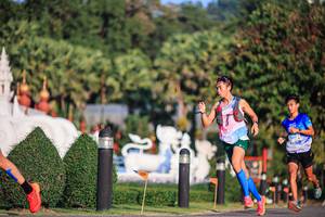 BIB: 
                            <button type="button" onclick="openModal(22679083)" class="btn btn-primary btn-sm float-right btn-popup" data-toggle="modal" data-target=".modal-high-quality">
                        <i class="fas fa-shopping-cart"></i> Add to Cart
                    </button>
                                            <button type="button" onclick="isThisMe(22679083, true)" class="btn btn-success btn-sm float-right btn-popup btn-isme hidden" data-toggle="tooltip" data-placement="bottom" title="นี่คือรูปของคุณใช่ไหม คลิกที่นี่เพื่อเอาเข้าอัลบั้ม">
                        <i class="fas fa-plus"></i> Add to album
                    </button>
                    <button type="button" onclick="isThisMe(22679083, false)" class="btn btn-warning btn-sm float-right btn-popup btn-isnotme hidden">
                        <i class="fas fa-ban"></i> Remove from album
                    </button>