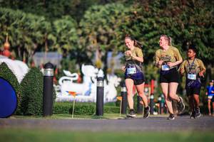 BIB: 1343
                            <button type="button" onclick="openModal(22683631)" class="btn btn-primary btn-sm float-right btn-popup" data-toggle="modal" data-target=".modal-high-quality">
                        <i class="fas fa-shopping-cart"></i> Add to Cart
                    </button>
                                            <button type="button" onclick="isThisMe(22683631, true)" class="btn btn-success btn-sm float-right btn-popup btn-isme hidden" data-toggle="tooltip" data-placement="bottom" title="นี่คือรูปของคุณใช่ไหม คลิกที่นี่เพื่อเอาเข้าอัลบั้ม">
                        <i class="fas fa-plus"></i> Add to album
                    </button>
                    <button type="button" onclick="isThisMe(22683631, false)" class="btn btn-warning btn-sm float-right btn-popup btn-isnotme hidden">
                        <i class="fas fa-ban"></i> Remove from album
                    </button>