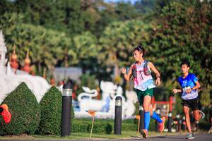 BIB: 
                            <button type="button" onclick="openModal(22679087)" class="btn btn-primary btn-sm float-right btn-popup" data-toggle="modal" data-target=".modal-high-quality">
                        <i class="fas fa-shopping-cart"></i> Add to Cart
                    </button>
                                            <button type="button" onclick="isThisMe(22679087, true)" class="btn btn-success btn-sm float-right btn-popup btn-isme hidden" data-toggle="tooltip" data-placement="bottom" title="นี่คือรูปของคุณใช่ไหม คลิกที่นี่เพื่อเอาเข้าอัลบั้ม">
                        <i class="fas fa-plus"></i> Add to album
                    </button>
                    <button type="button" onclick="isThisMe(22679087, false)" class="btn btn-warning btn-sm float-right btn-popup btn-isnotme hidden">
                        <i class="fas fa-ban"></i> Remove from album
                    </button>