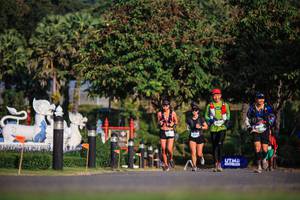 BIB: 
                            <button type="button" onclick="openModal(22682284)" class="btn btn-primary btn-sm float-right btn-popup" data-toggle="modal" data-target=".modal-high-quality">
                        <i class="fas fa-shopping-cart"></i> Add to Cart
                    </button>
                                            <button type="button" onclick="isThisMe(22682284, true)" class="btn btn-success btn-sm float-right btn-popup btn-isme hidden" data-toggle="tooltip" data-placement="bottom" title="นี่คือรูปของคุณใช่ไหม คลิกที่นี่เพื่อเอาเข้าอัลบั้ม">
                        <i class="fas fa-plus"></i> Add to album
                    </button>
                    <button type="button" onclick="isThisMe(22682284, false)" class="btn btn-warning btn-sm float-right btn-popup btn-isnotme hidden">
                        <i class="fas fa-ban"></i> Remove from album
                    </button>